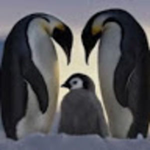 Meet your Posher, Chazley